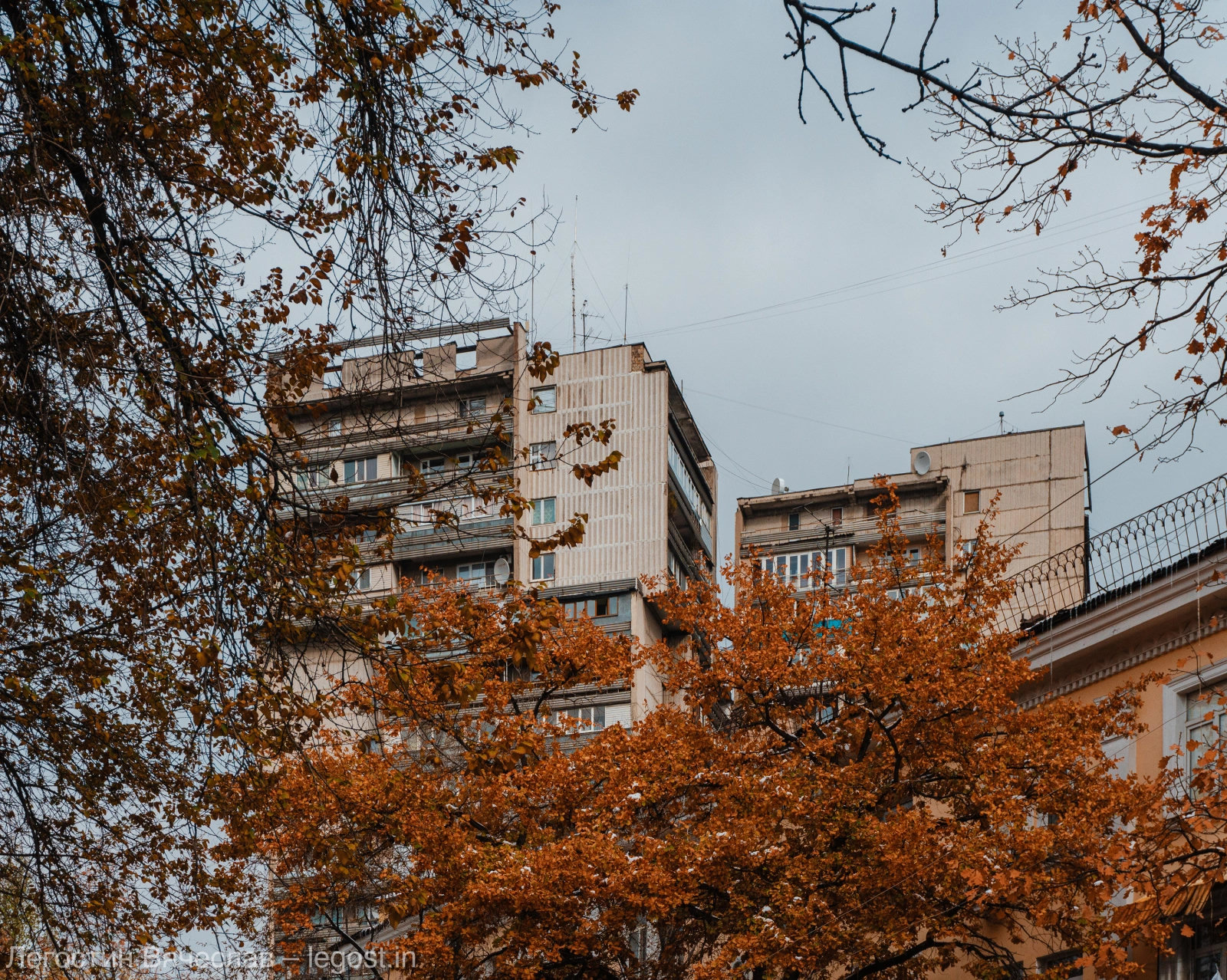 Осень рядом с Арбатом