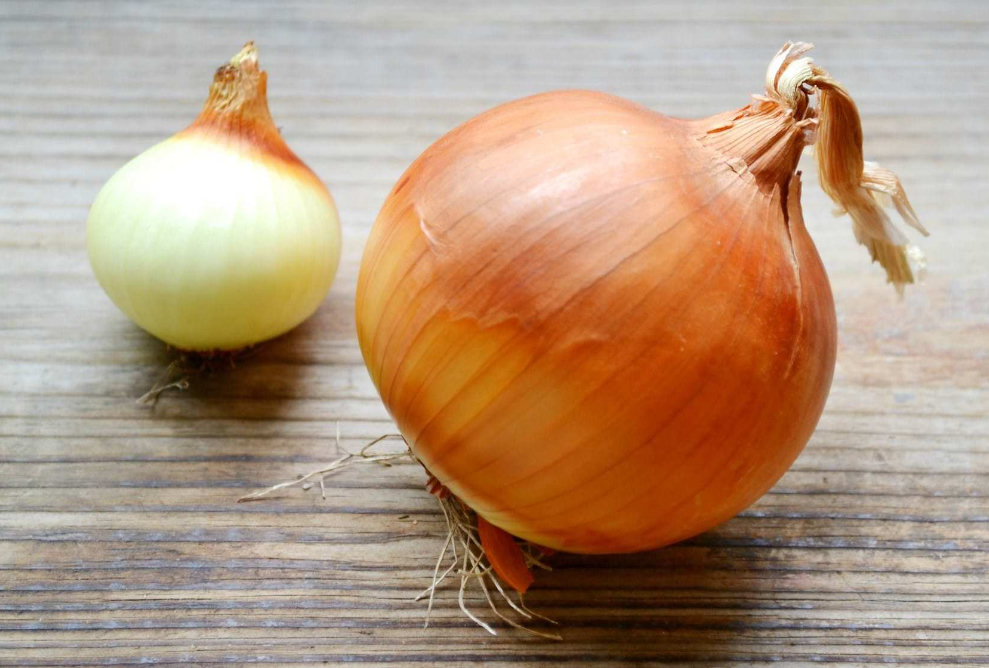 Репчатый лук лежит на столе.